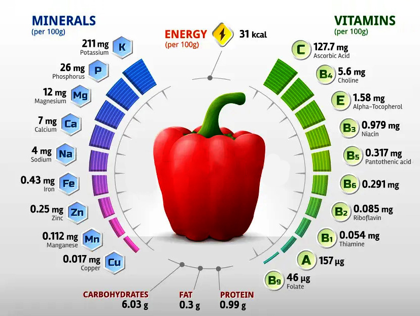 Thành phần dinh dưỡng trong trái ớt chuông đỏ